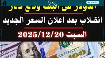 الدولار يستقر عند 47.53 جنيه وسط تعطيل البنوك وخطة جديدة من المركزي تصدم السوق